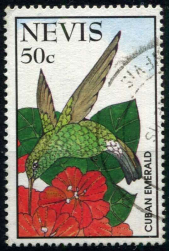 Nevis - Birds - 1995 - Used