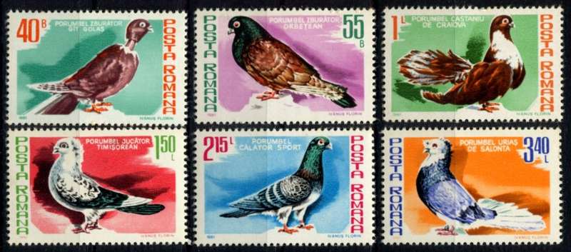 Romania - Birds - 1981 - MNH