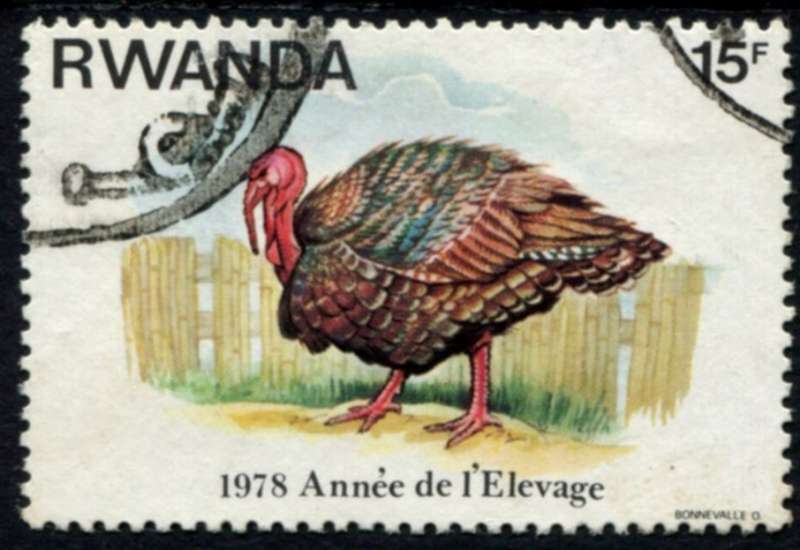 Rwanda - Birds - 1978 - Used