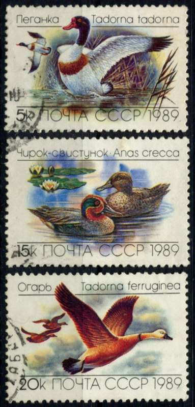 Russia - Birds - 1989 - Used