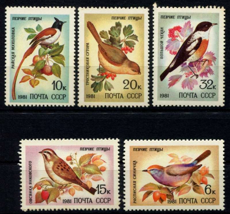 Russia - Birds - 1981 - MNH