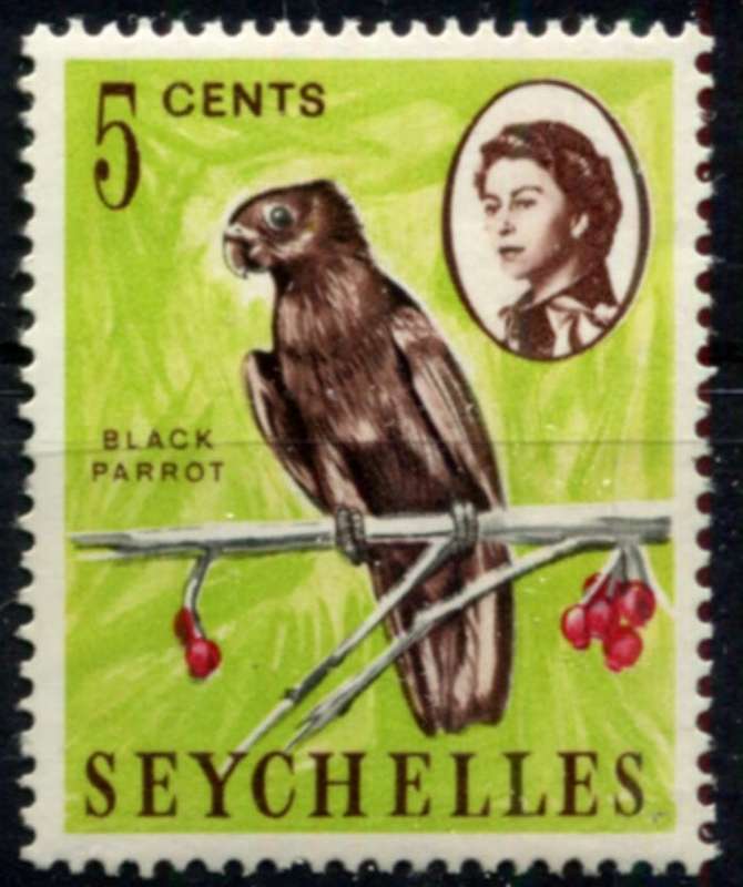 Seychelles - Birds - MM