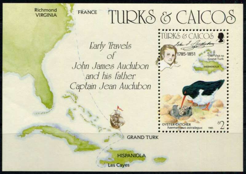 Turks and Caicos - Birds  - Miniature Sheet - 1985 - MNH