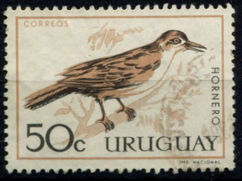 Uruguay - Birds - 1962 - Used