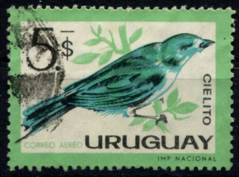 Uruguay - Birds - 1962 - Used