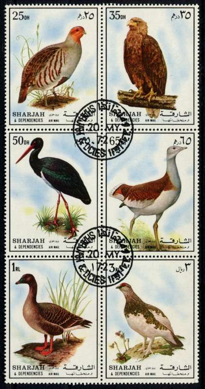 Sharjah - Birds - Used