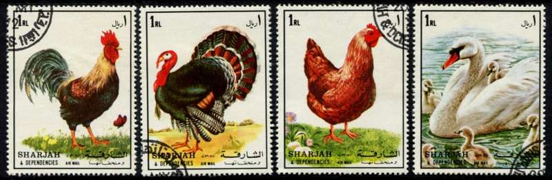 Sharjah - Birds - Used