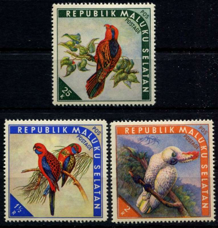 Maluku Selatan - Birds - MM