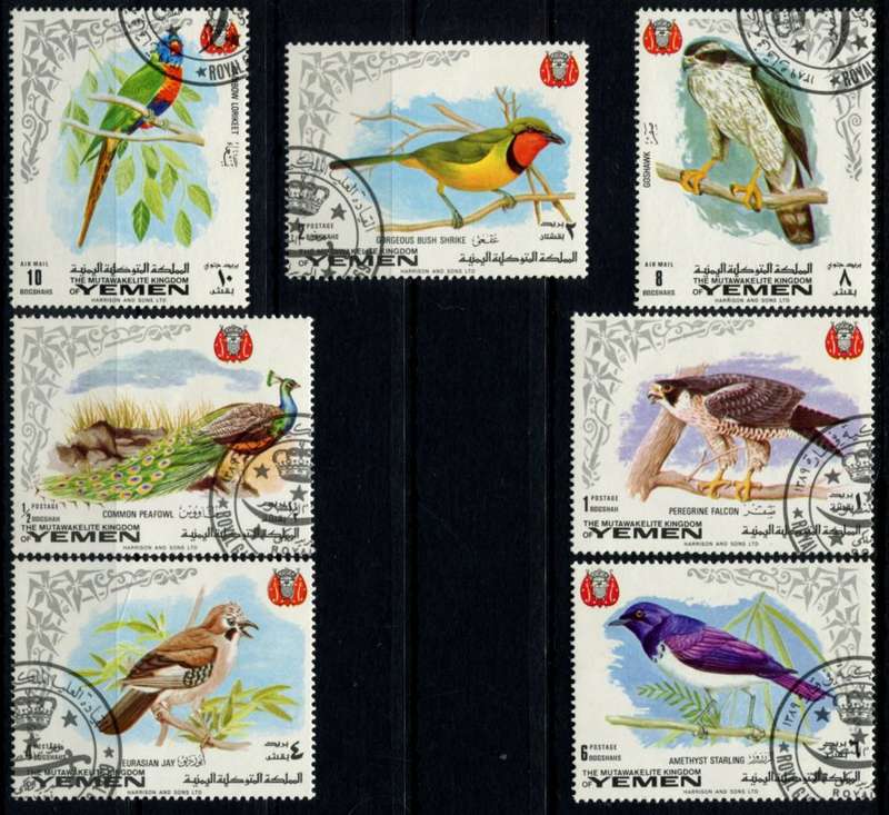 Yemen - Birds - Used