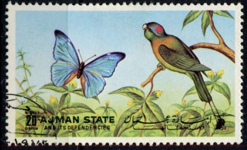 Ajman - Birds - Used