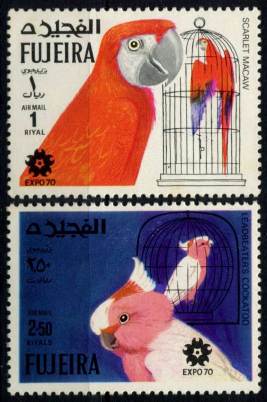 Fujeira - Birds - MM