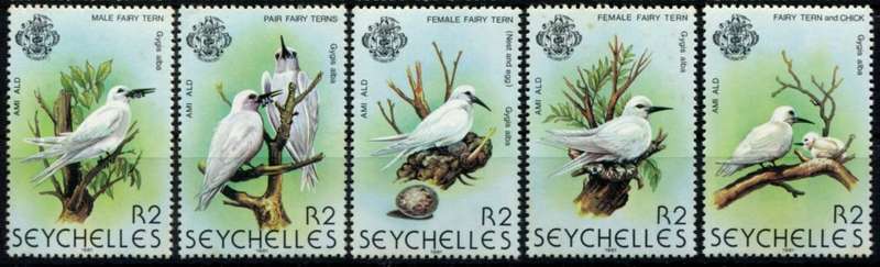 Seychelles - Birds - 1981 - MNH - Toned