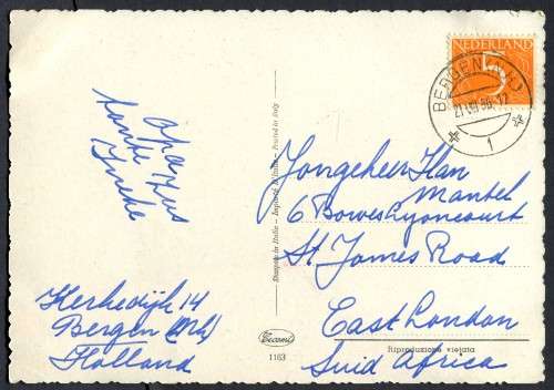 Netherlands - Post Card