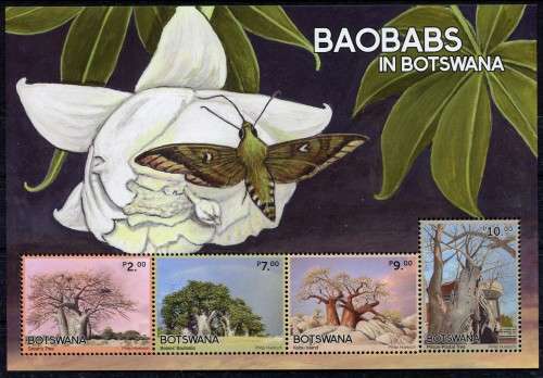 Botswana - Baobabs In Botswana - Miniature Sheet - 2022 - MNH