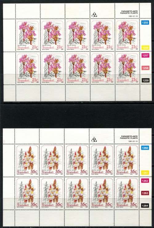 Transkei - Set of 4 Full Sheets of 10 -1991 -  MNH - Some Very Light Toning