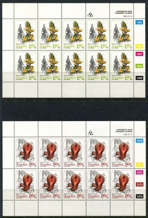 Transkei - Set of 4 Full Sheets of 10 -1991 -  MNH - Some Very Light Toning
