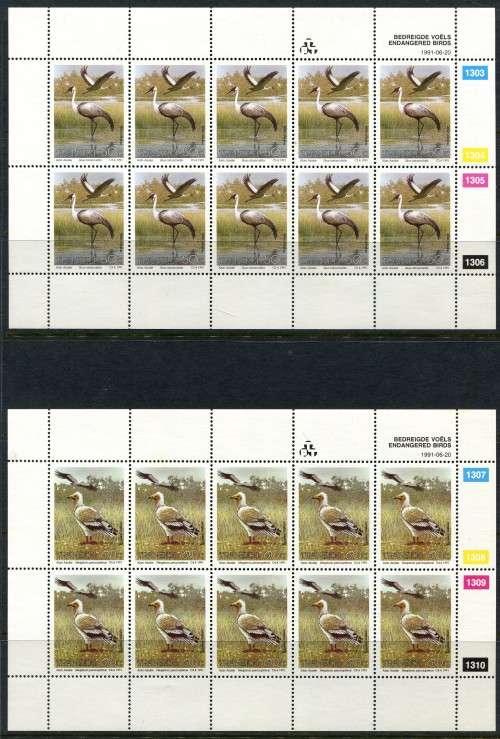 Transkei - Birds - Set of 4 Full Sheets of 10 -1991 -  MNH - Some Very Light Toning