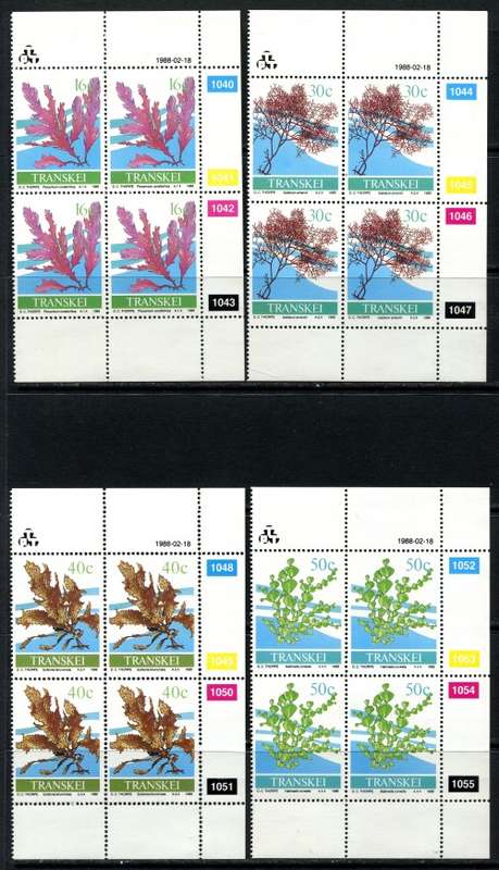 Transkei - Set of 4 Control Blocks of 4 - 1988 - MNH