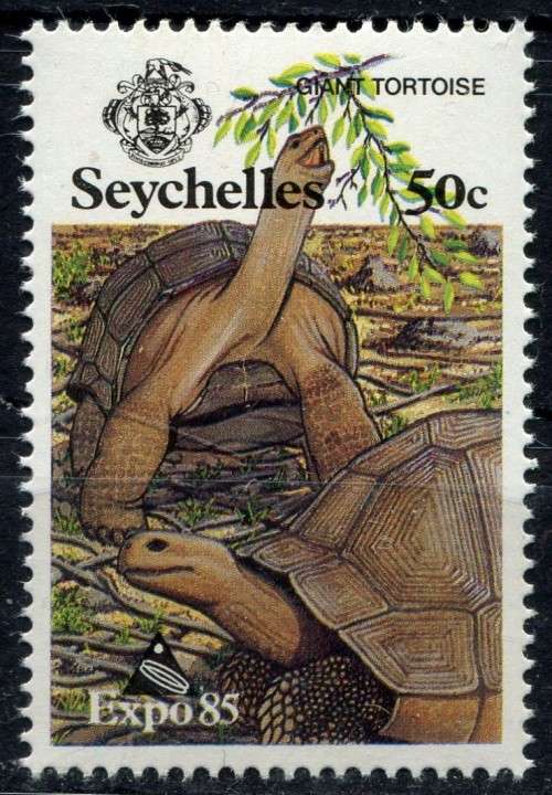 Seychelles - 1985 - MNH