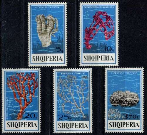 Albania - Water Life - Corals - 1975 - MNH