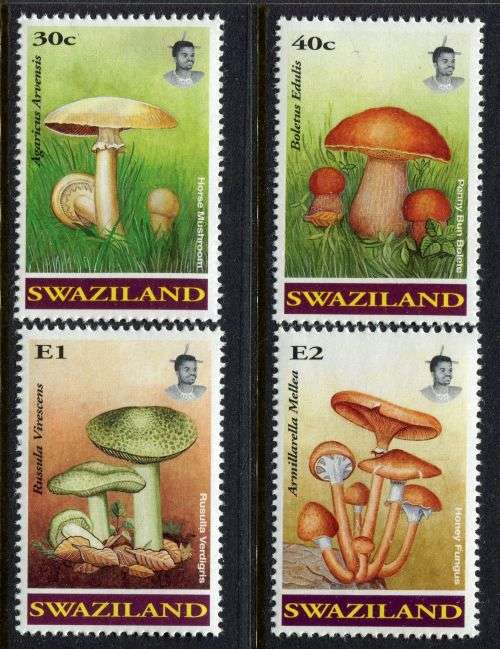 Swaziland - 1994 - MNH