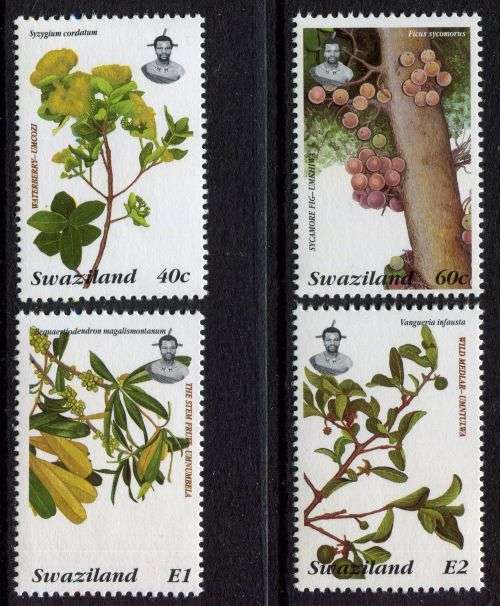 Swaziland - 1996 - MNH