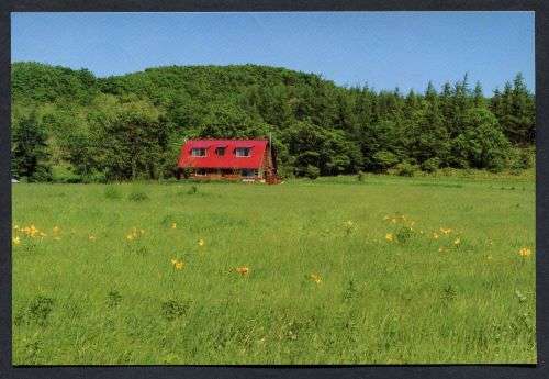 Japan - Modern Used Post Card
