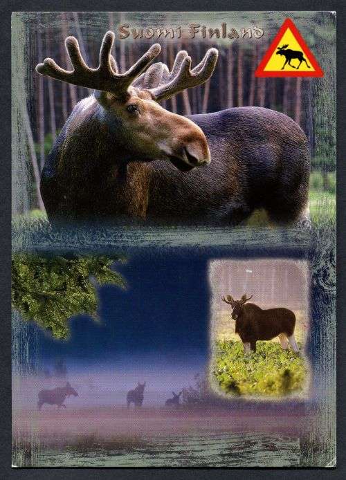 Finland - Modern Used Post Card