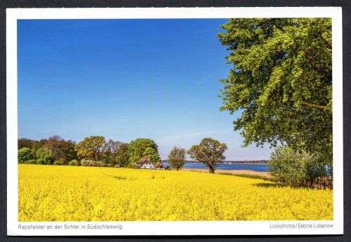 Germany - Modern Used Post Card