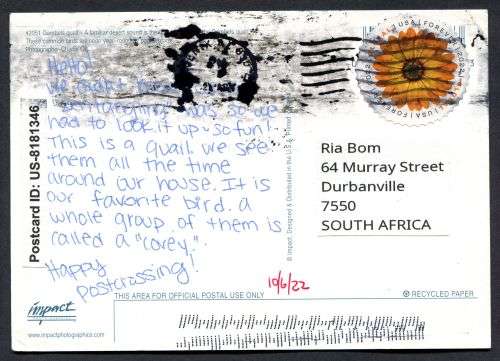 USA - Modern Used Post Card