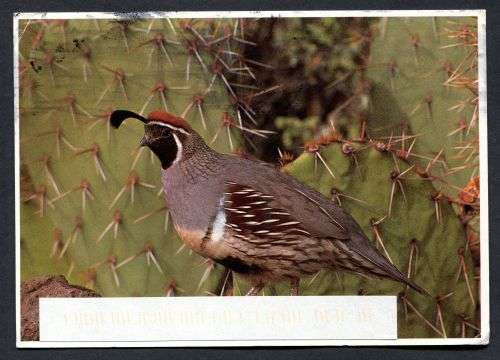 USA - Modern Used Post Card