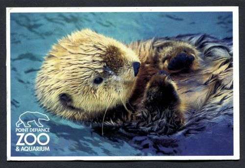 USA - Modern Used Post Card