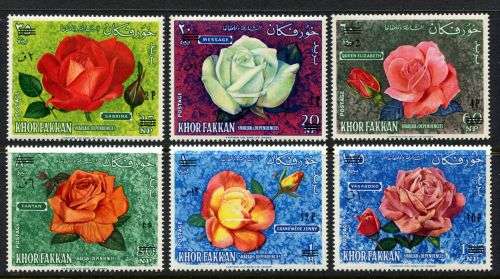 Khorfakkan - MNH