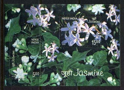 India - Miniature Sheet - 2008 - MNH