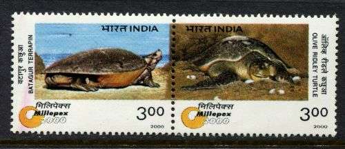 India - 2000 - MNH