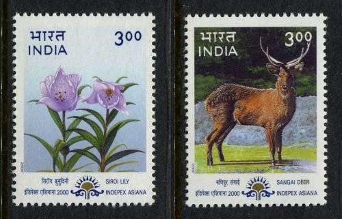India - 2000 - MNH
