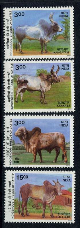 India - 2000 - MNH