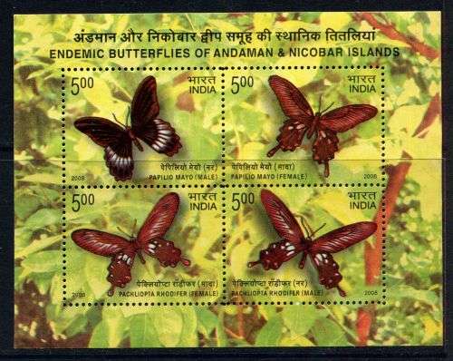 India - Miniature Sheet - 2008 - Used