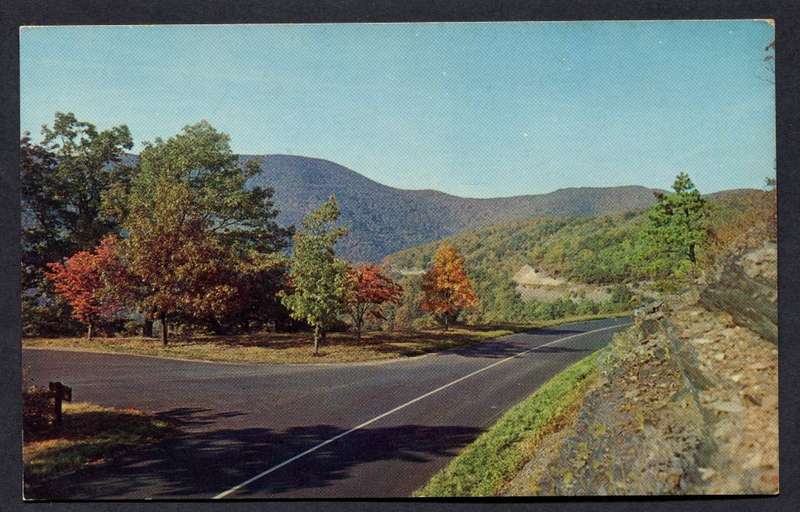 Post Card - Unused