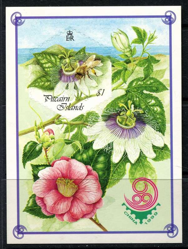 Pitcairn Islands - Miniature Sheet - 1999 - MNH