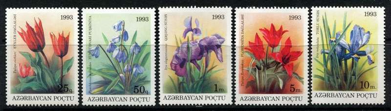 Azerbaijan - 1999 - MNH
