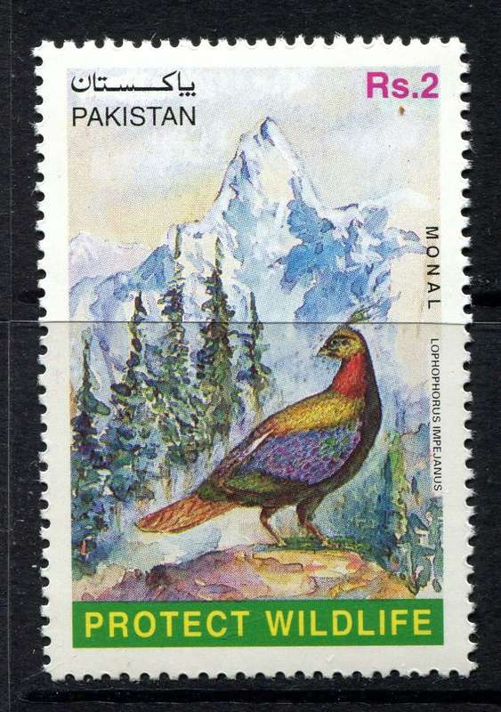 Pakistan - Birds - 1981 - MNH