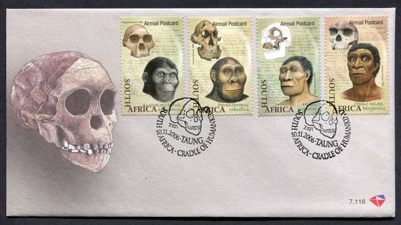 RSA - FDC 7.116 - 2006