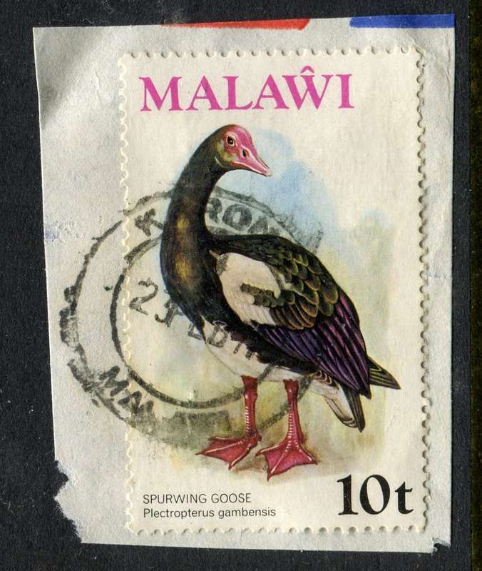Malawi - Used on Piece