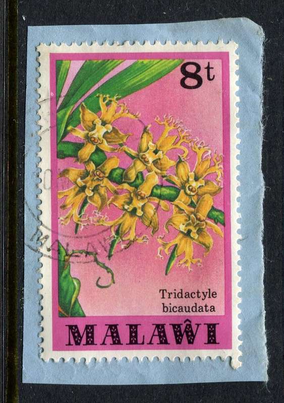 Malawi - Used on Piece