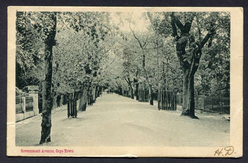Post Card