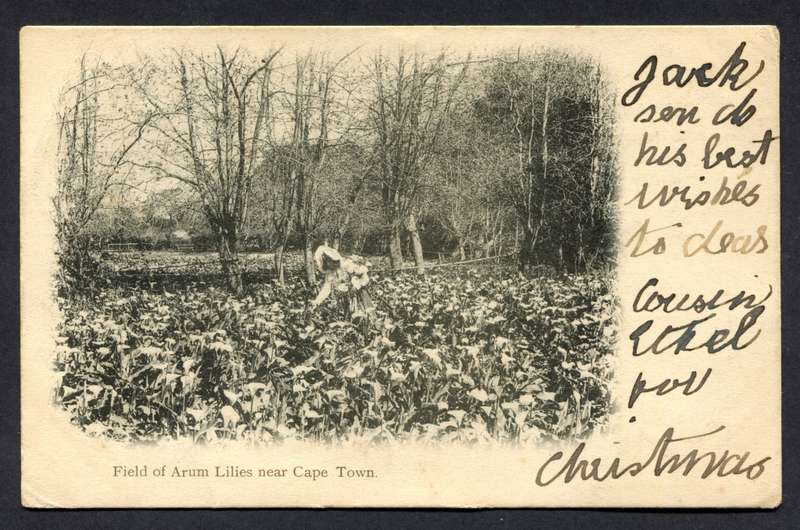 Post Card