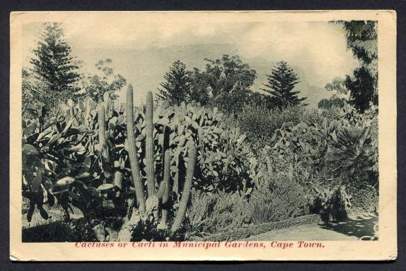 Post Card