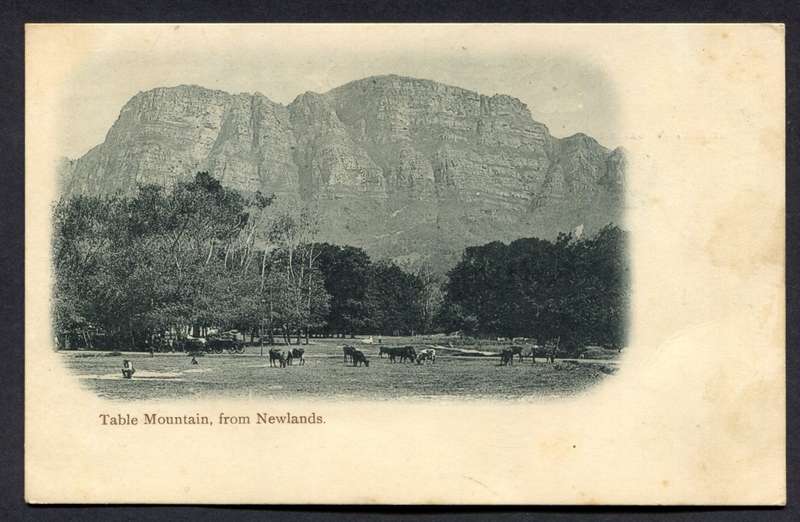 Post Card