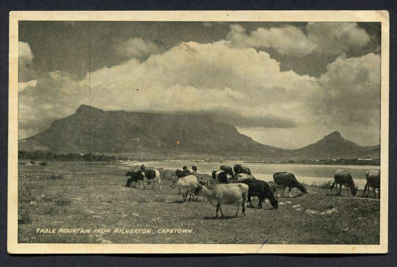 Post Card